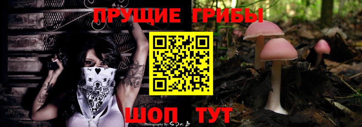 магазин продажи   Галлюциногенные грибы мухоморы  Вход с VPN  Нижний Тагил 